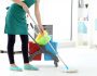 cleaning professionals