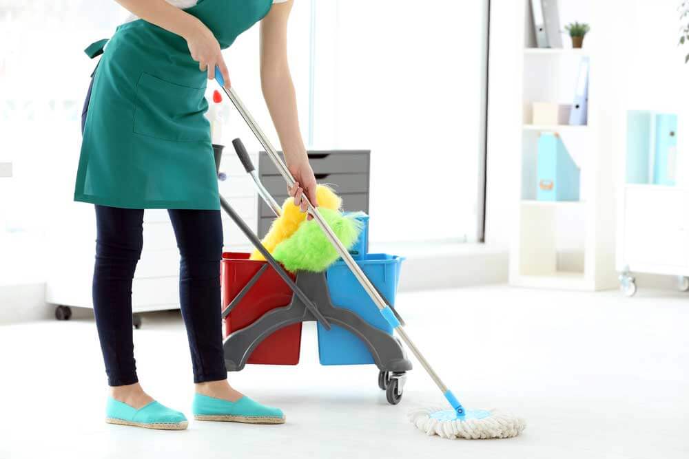 cleaning professionals